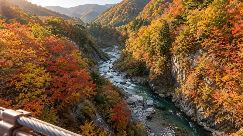 紅葉に包まれた渓谷を吊り橋の上から見下ろす。赤・橙・黄の木々と川
